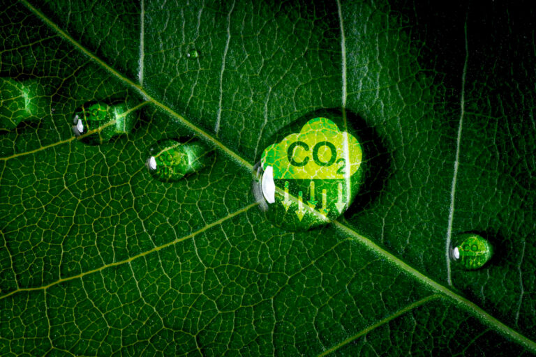 CO₂-Senkung