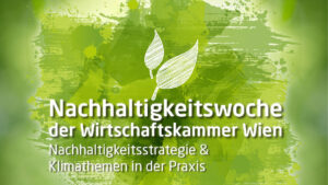 Nachhaltigkeitsstrategie-Webinar