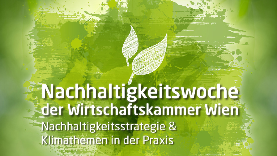 Nachhaltigkeitsstrategie-Webinar