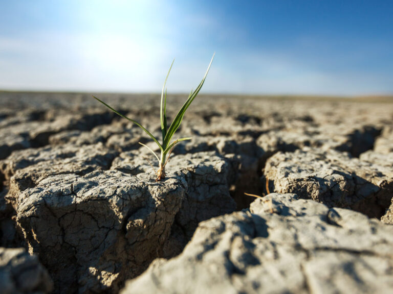 drought